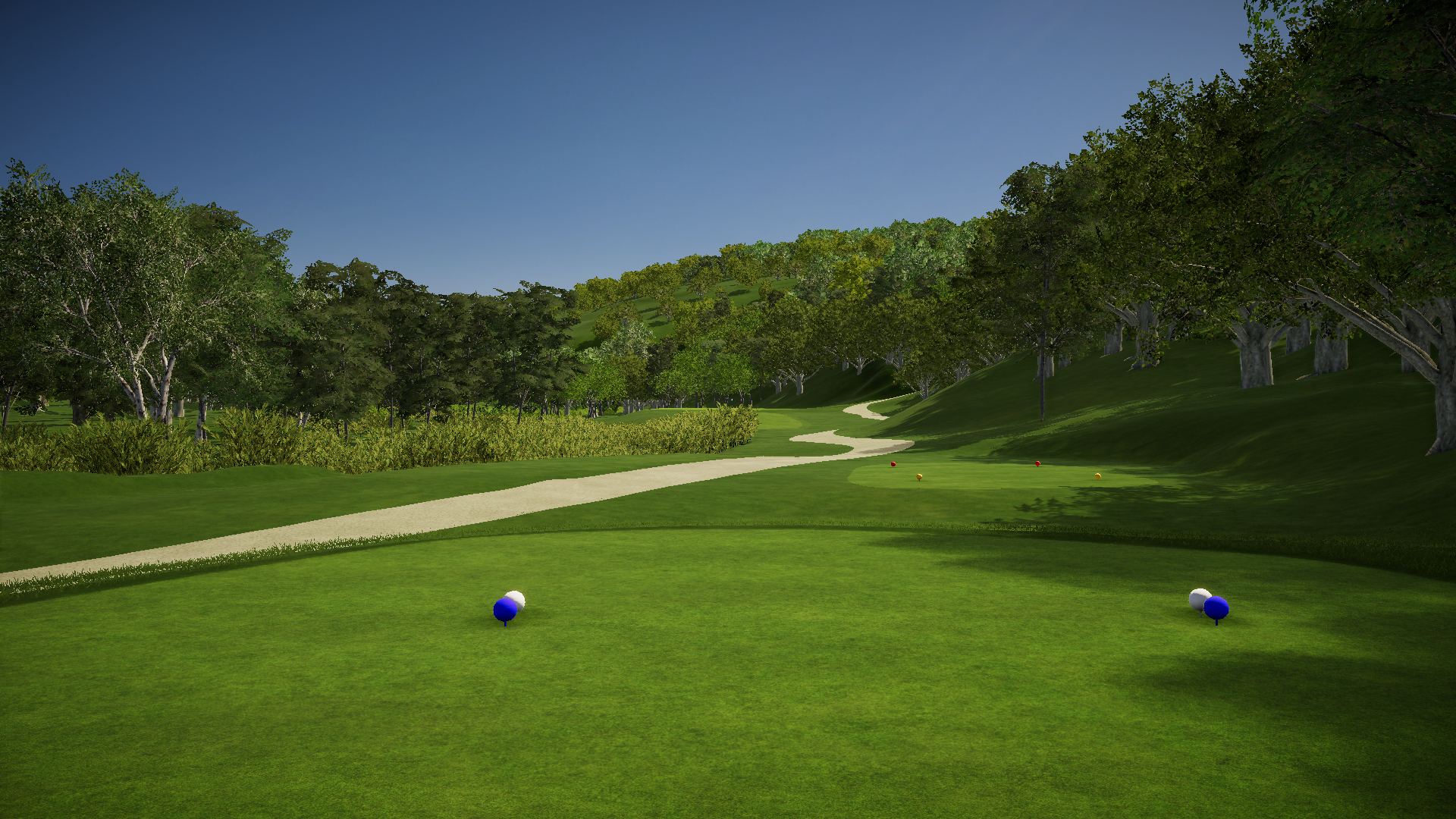 Hornell Golf Club | Foresight Sports