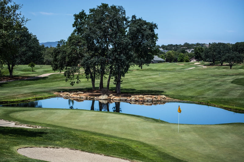 golf course with lake and a tree