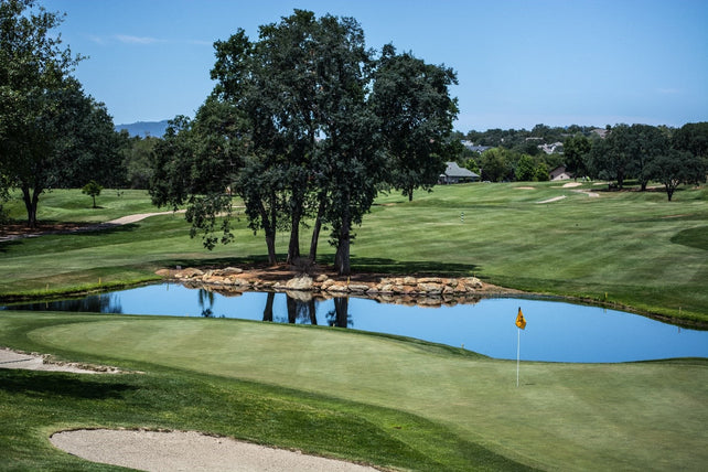 golf course with lake and a tree