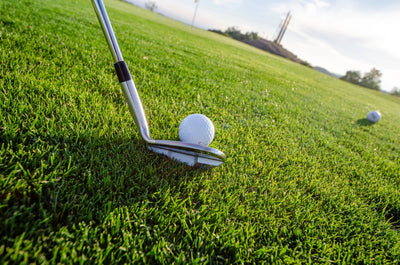 Golf ball with tee on course and stick