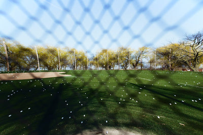 green grass field