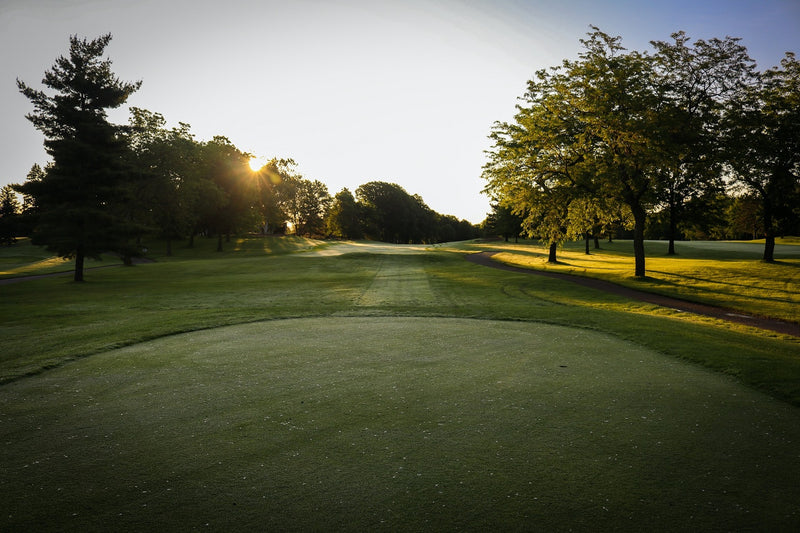 The greens and the fairway of the golf course in the morning