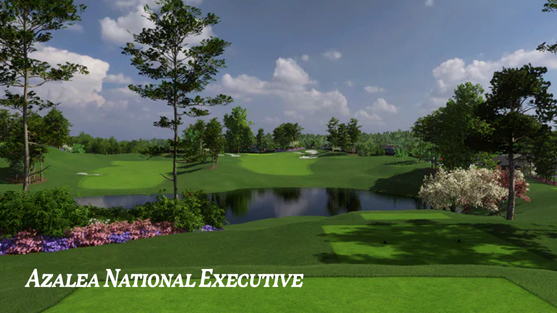 Azalea National Bundle