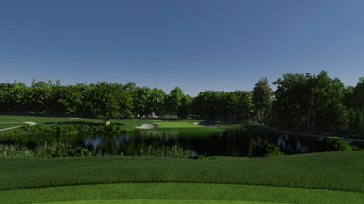 Foresight Sports Sunnybrook Golf Club