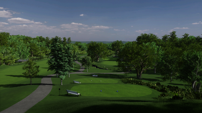 Foresight Sports The Bridges Golf Club