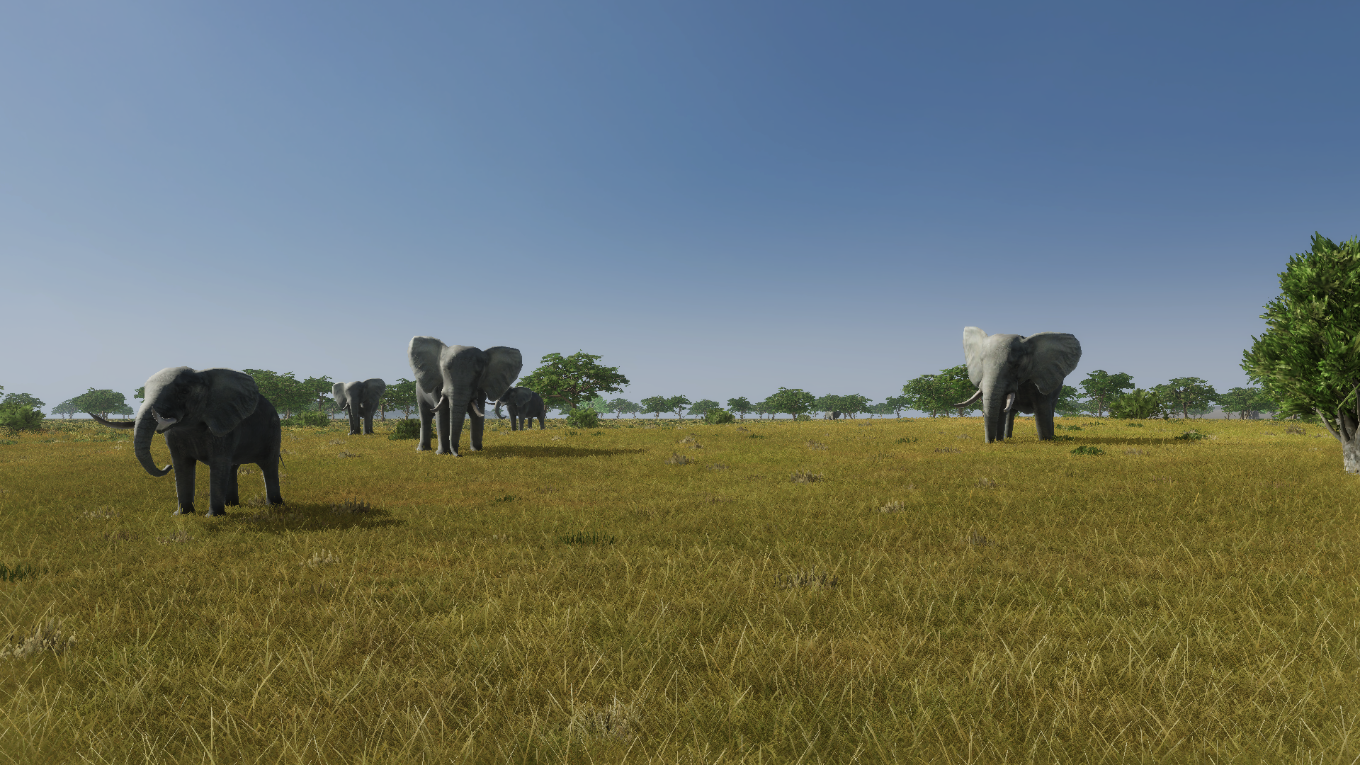 Serengeti Golf Club