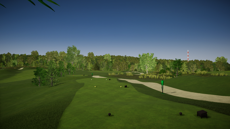 Foresight Sports PB Dye