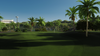 Tropical Paradise Executive