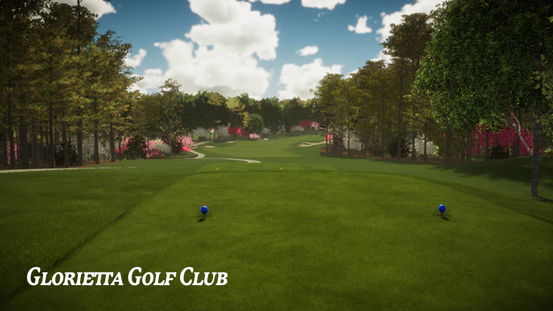 Azalea National Bundle