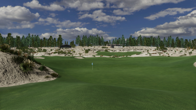 Foresight Sports Tara Iti Golf Club