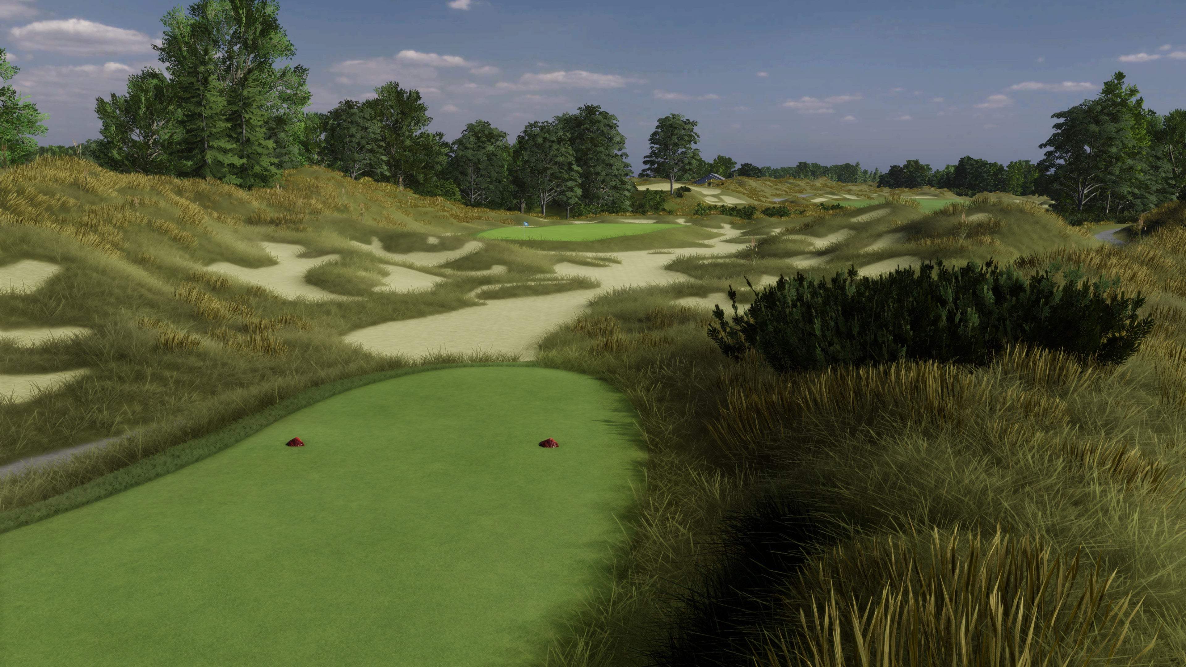 Whistling Straits - The Irish