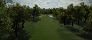 Lushious Greens in Virtual Golf Course