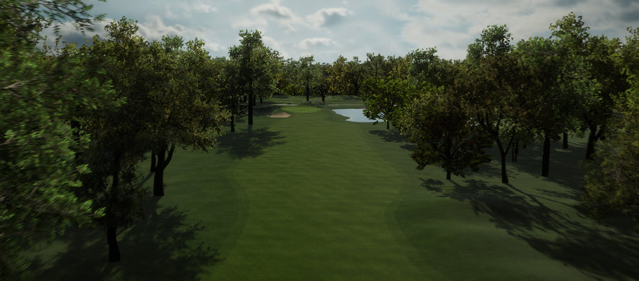 FSX Play | Foresight Sports