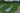 Golfisimo for FSX 2020