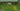 Creative Golf 3D for FSX 2020