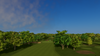 Glen Flora Country Club