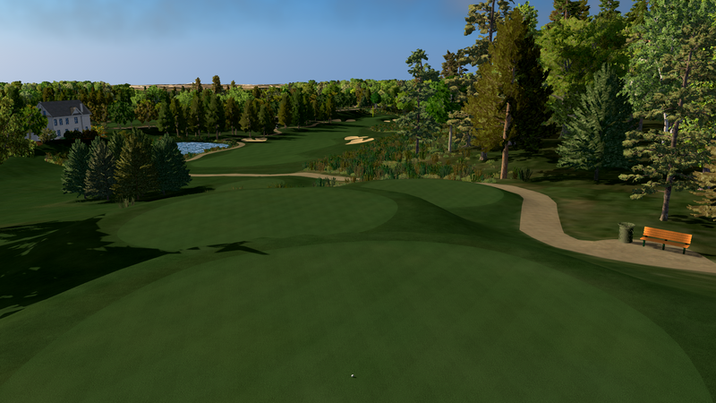 Foresight Sports Greystone Golf Club