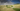 Gallery_5