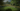 Gallery_1