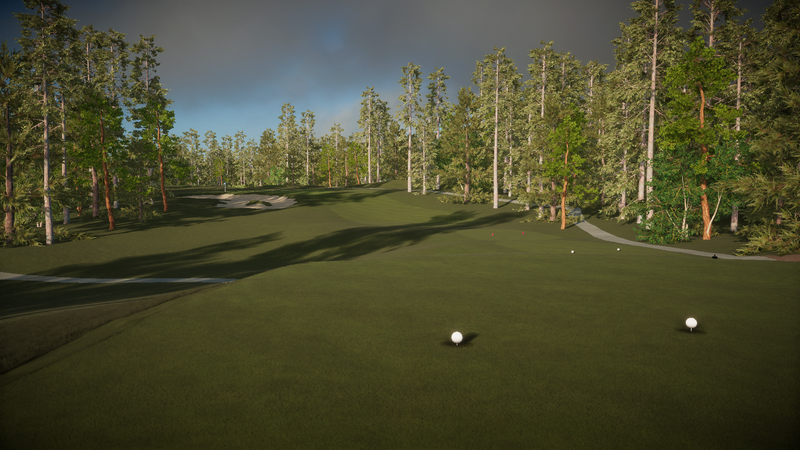 Foresight Sports Lonnie Poole Golf Course