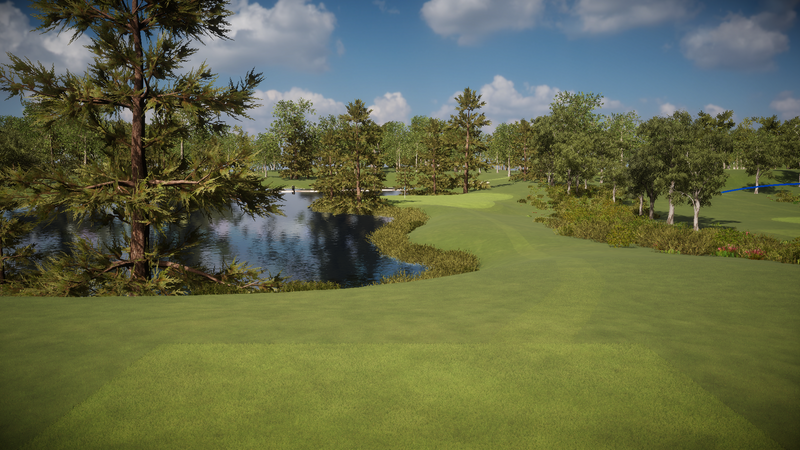 Foresight Sports Pitch n Putt