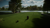 Gallery_3