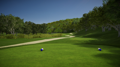 Foresight Sports Hornell Golf Club