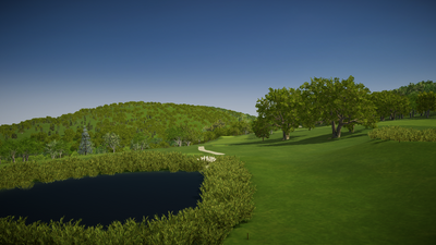 Foresight Sports Hornell Golf Club