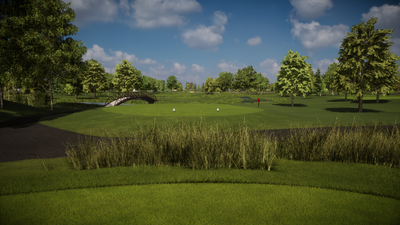 Foresight Sports Blackberry Oaks Golf Course