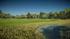 Gallery_6