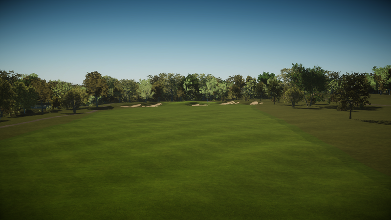 Foresight Sports Jimmie Austin Golf Club