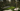 Gallery_3