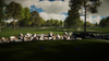 Gallery_5