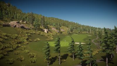 Foresight Sports Lone Wolf Golf Club