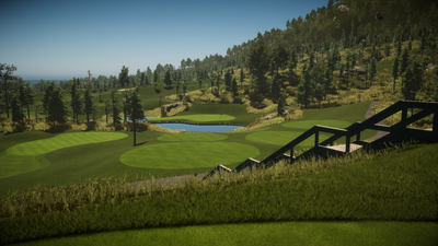 Foresight Sports Lone Wolf Golf Club