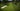 Gallery_7