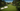 Gallery_4