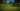 Gallery_5