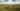 Gallery_2